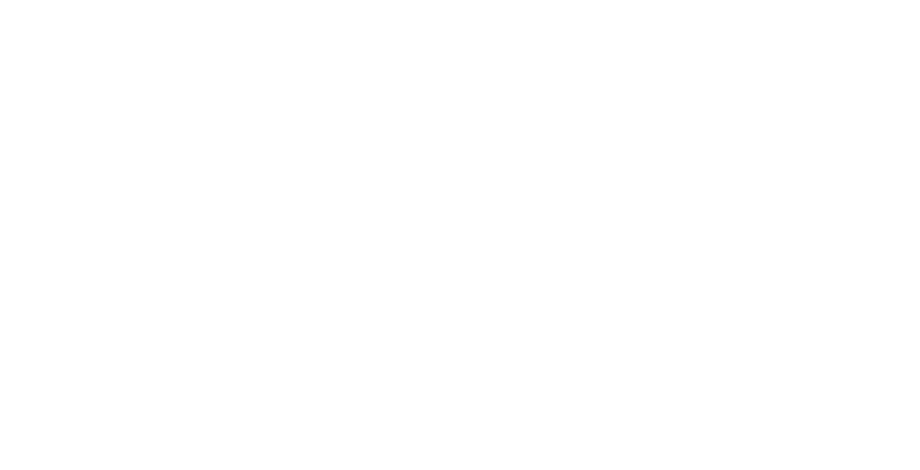 Persona Gurus